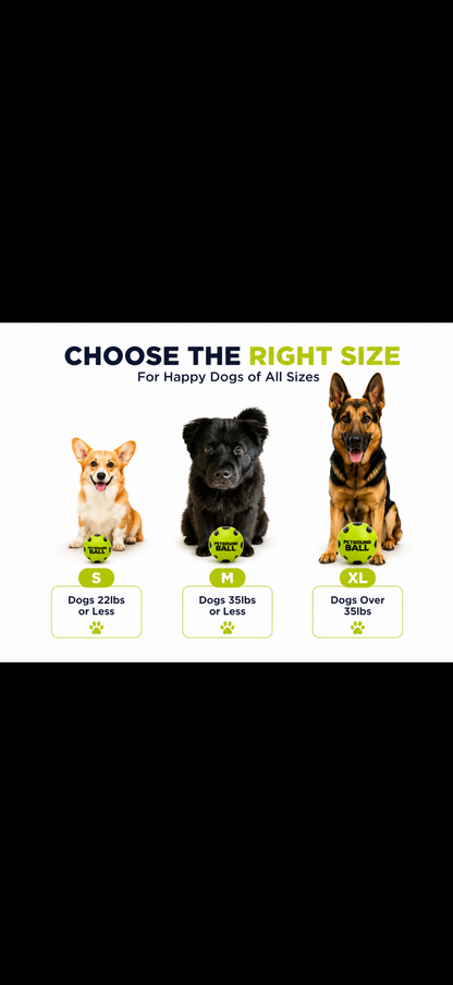Interactive sound dog treat ball